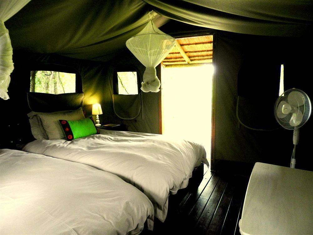 Shindzela Tented Camp Timbavati Vadrezervátum Kültér fotó