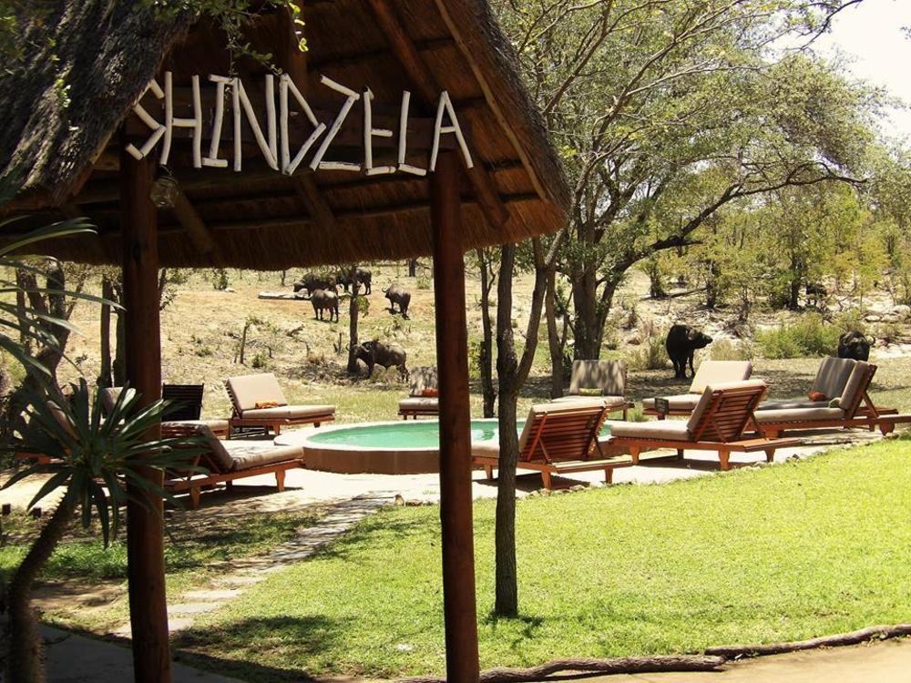 Shindzela Tented Camp Timbavati Vadrezervátum Kültér fotó
