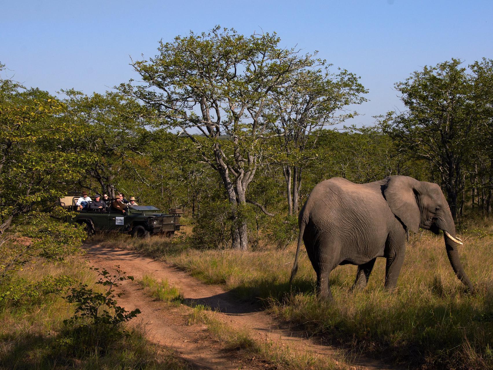 Shindzela Tented Camp Timbavati Vadrezervátum Kültér fotó