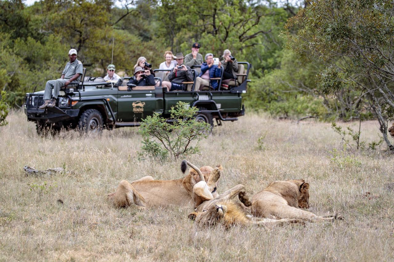 Shindzela Tented Camp Timbavati Vadrezervátum Kültér fotó