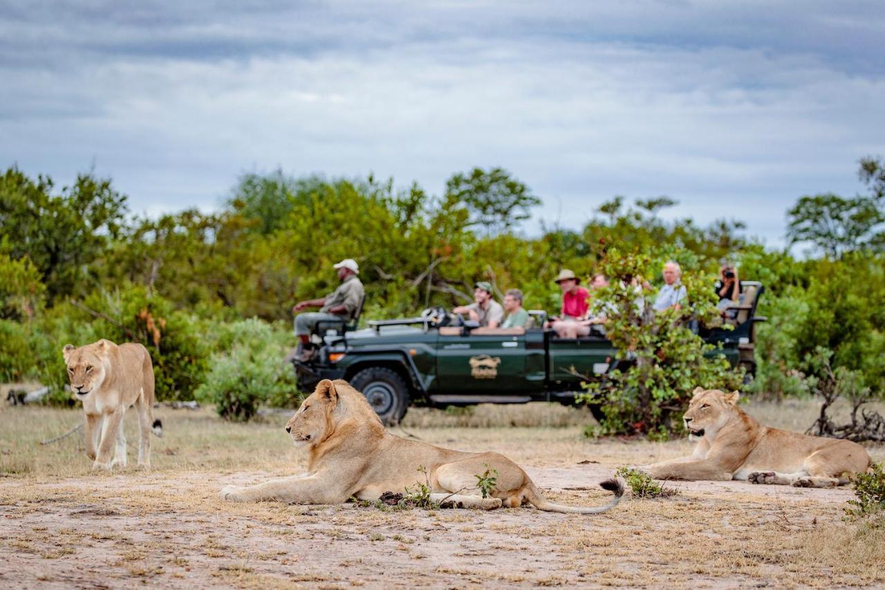 Shindzela Tented Camp Timbavati Vadrezervátum Kültér fotó