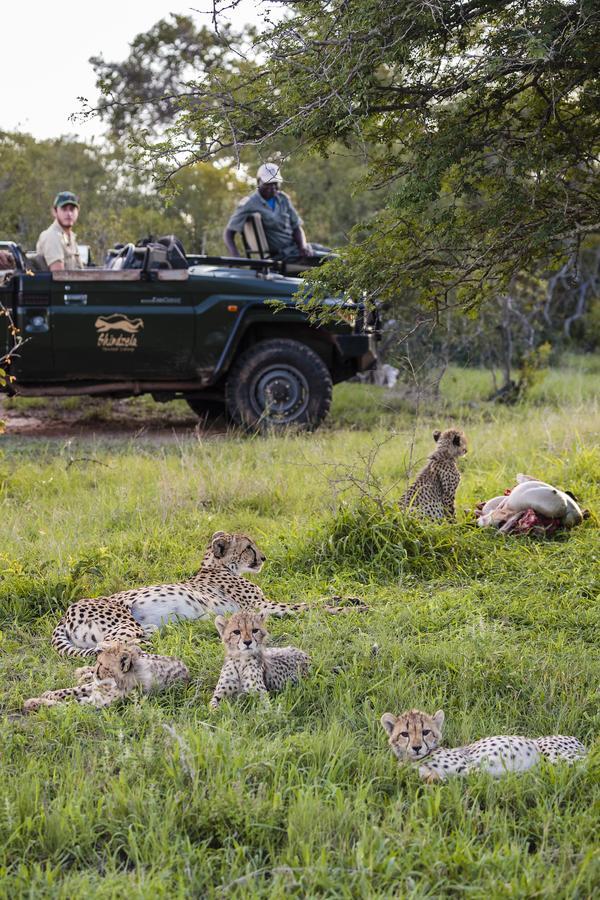 Shindzela Tented Camp Timbavati Vadrezervátum Kültér fotó