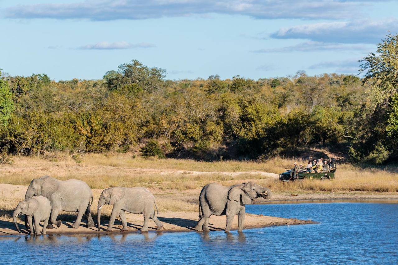 Shindzela Tented Camp Timbavati Vadrezervátum Kültér fotó