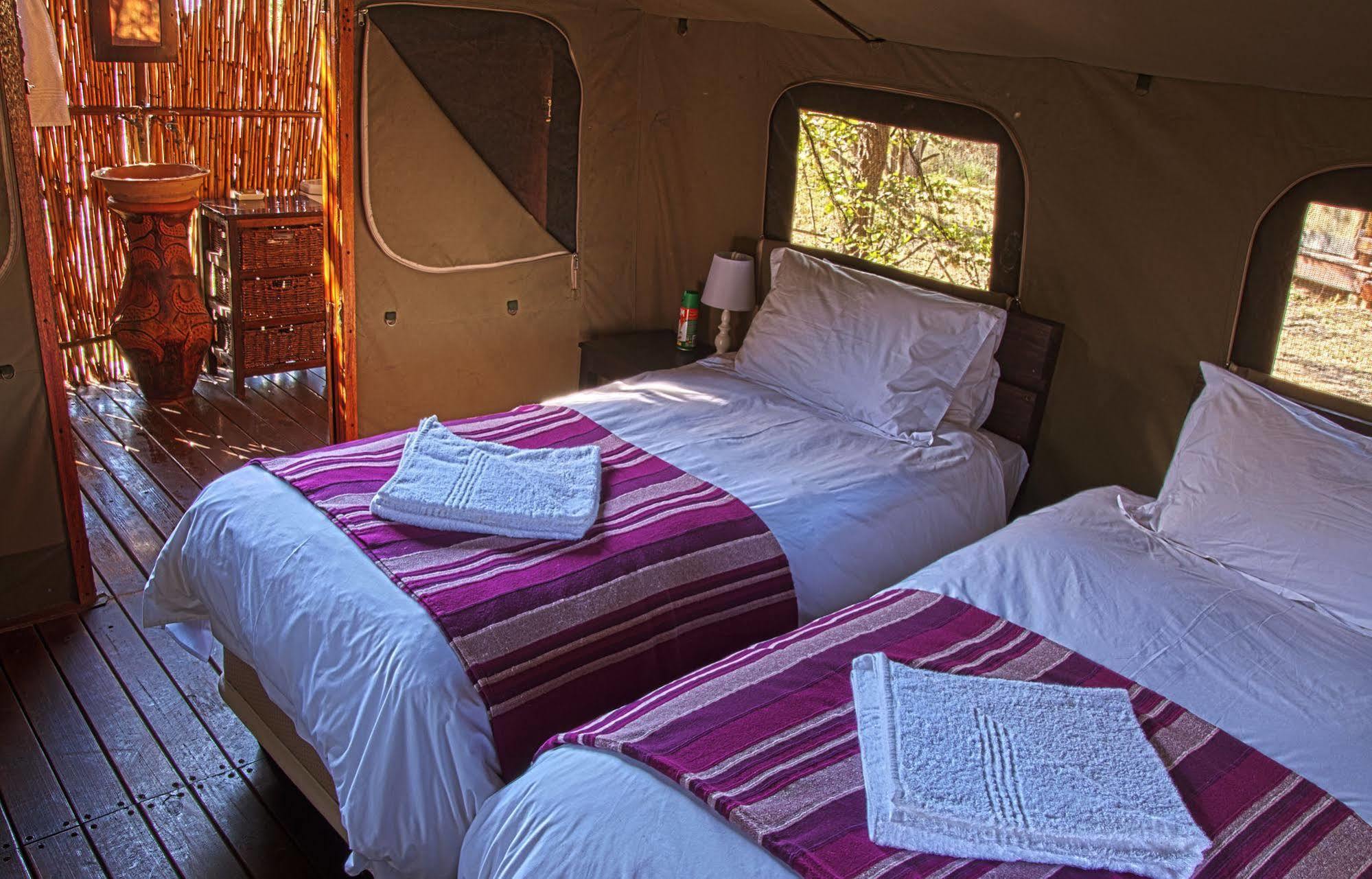 Shindzela Tented Camp Timbavati Vadrezervátum Kültér fotó