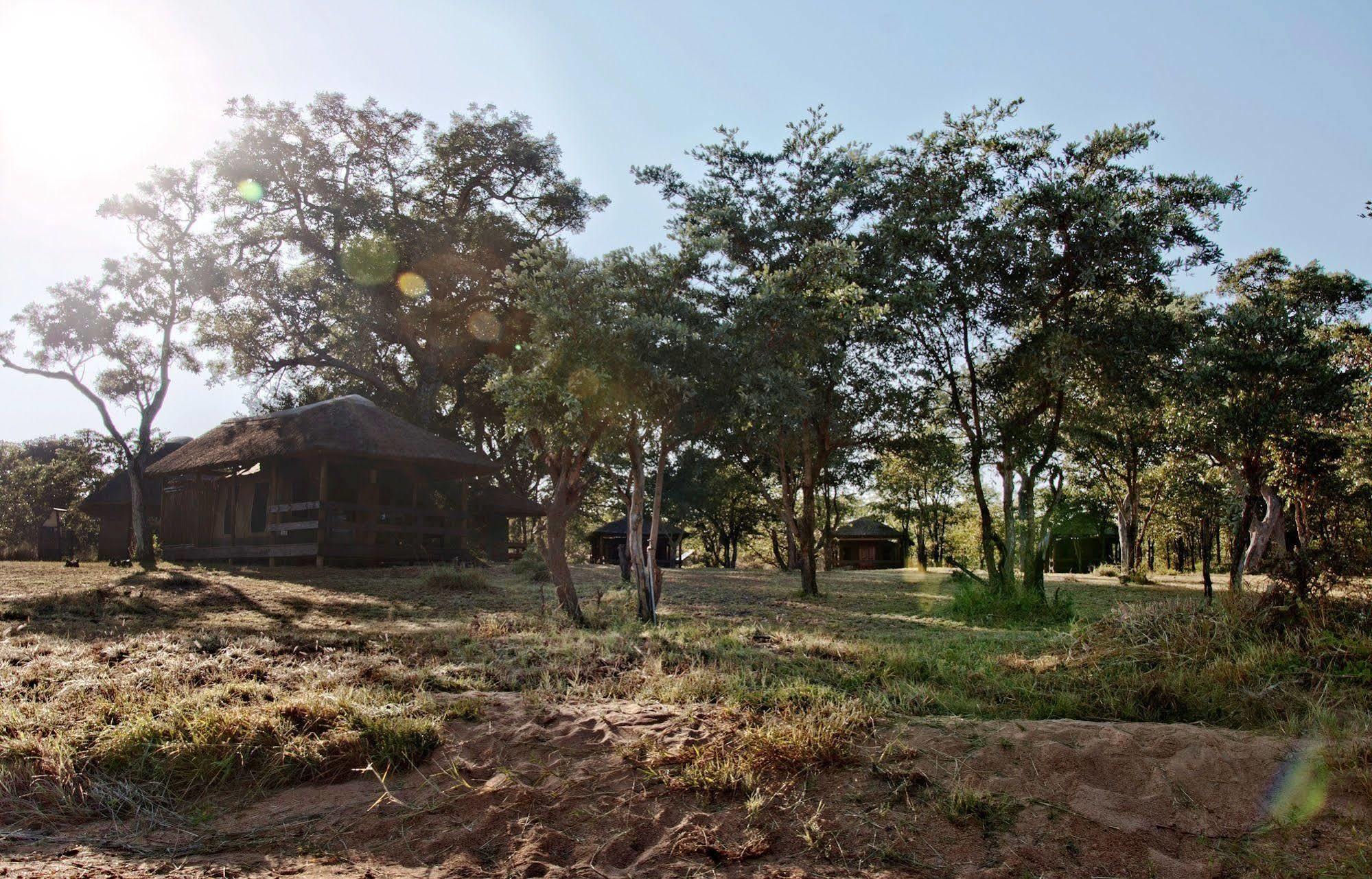 Shindzela Tented Camp Timbavati Vadrezervátum Kültér fotó