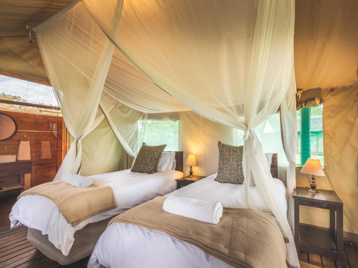 Shindzela Tented Camp Timbavati Vadrezervátum Kültér fotó