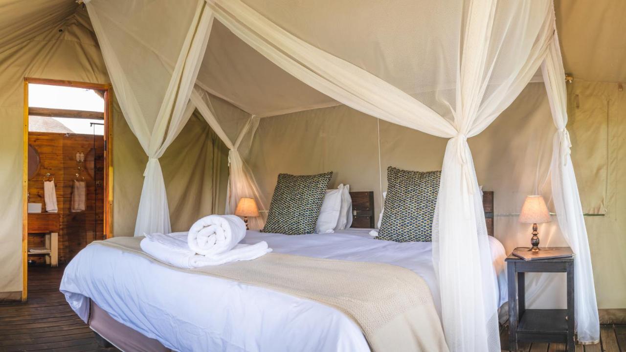 Shindzela Tented Camp Timbavati Vadrezervátum Kültér fotó