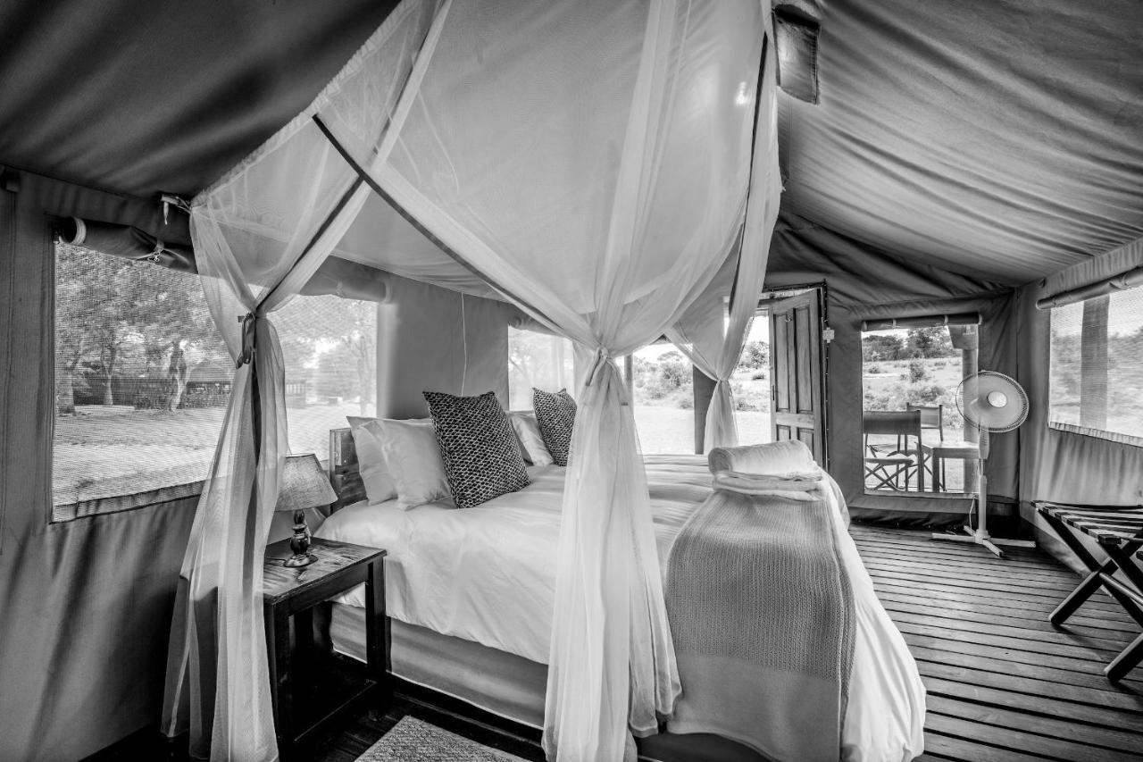 Shindzela Tented Camp Timbavati Vadrezervátum Kültér fotó