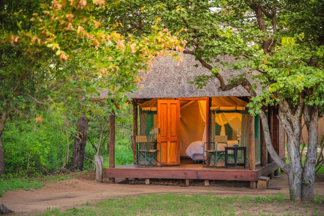 Shindzela Tented Camp Timbavati Vadrezervátum Kültér fotó