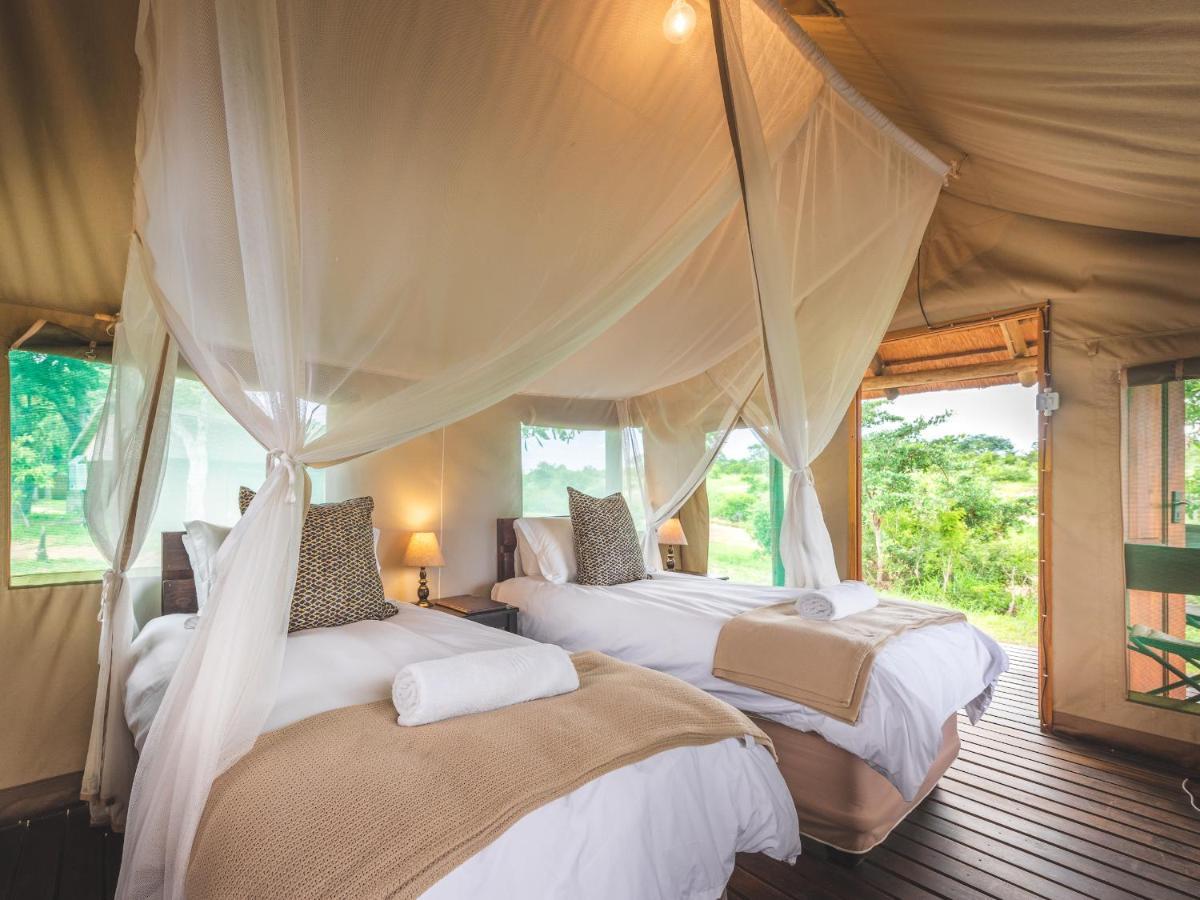 Shindzela Tented Camp Timbavati Vadrezervátum Kültér fotó