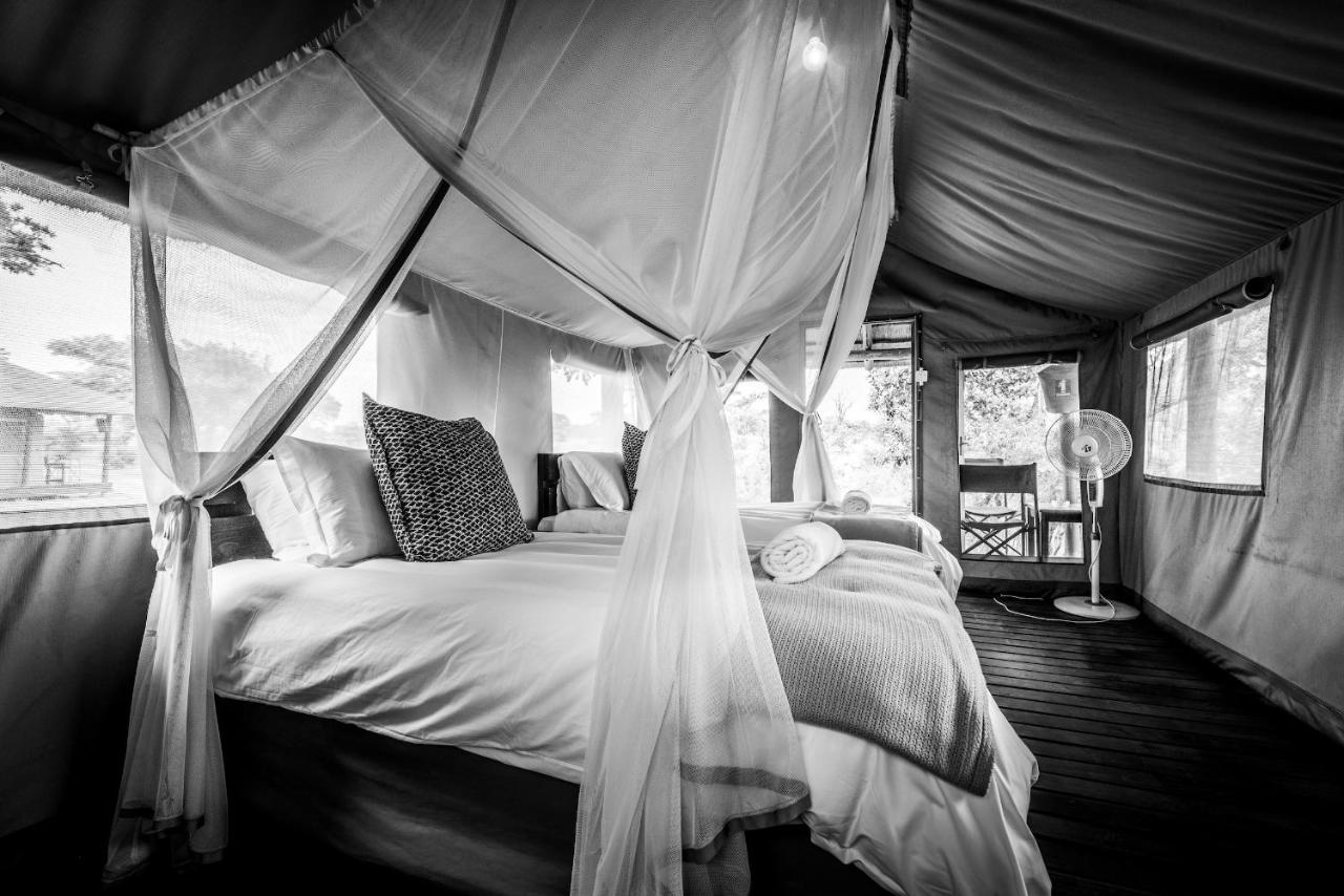 Shindzela Tented Camp Timbavati Vadrezervátum Kültér fotó