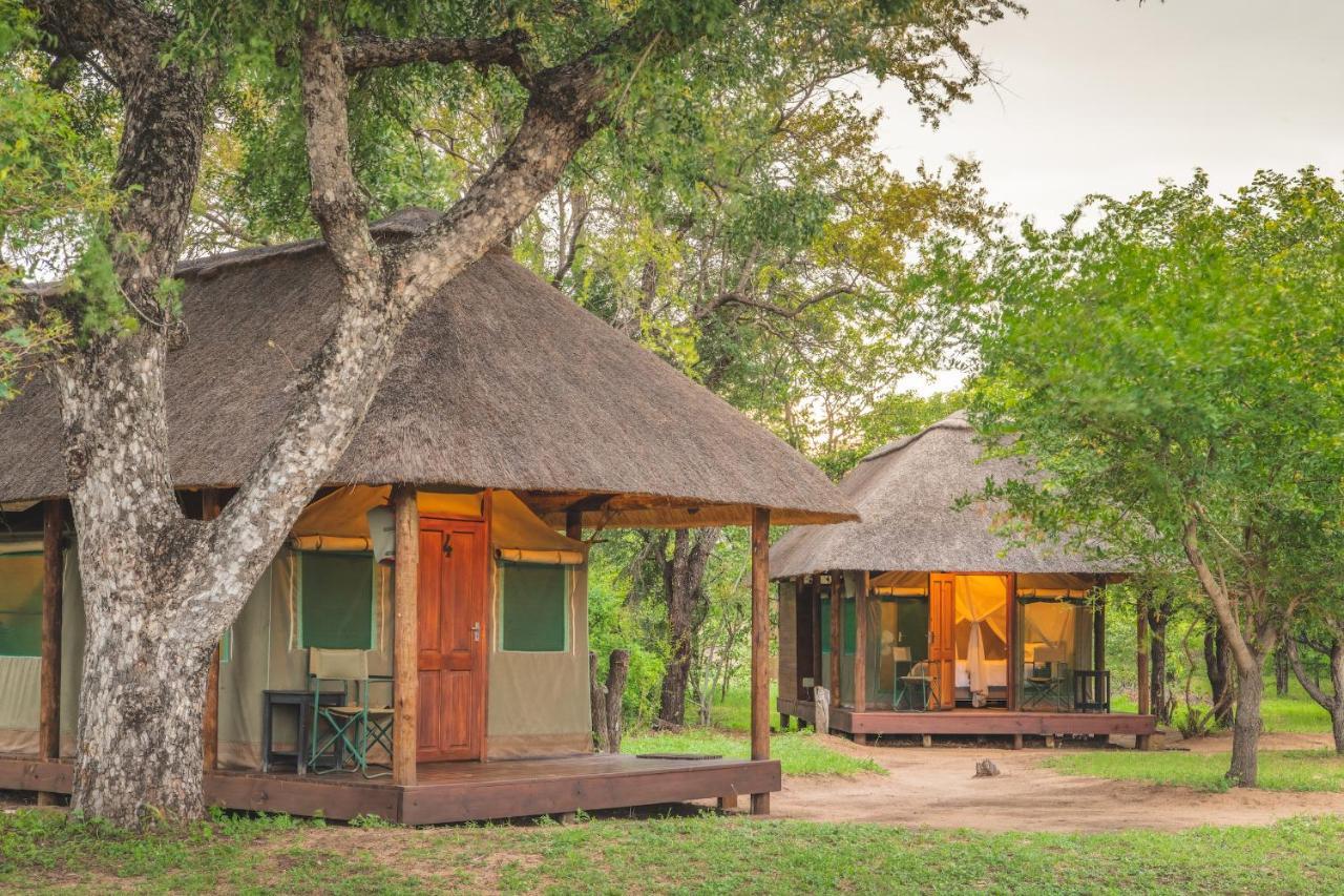 Shindzela Tented Camp Timbavati Vadrezervátum Kültér fotó